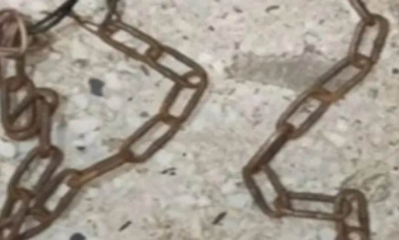 Tres niños fueron víctimas de maltrato, cautiverio y abuso en Mérida maltrato