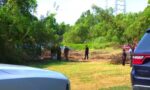 niño asesinado