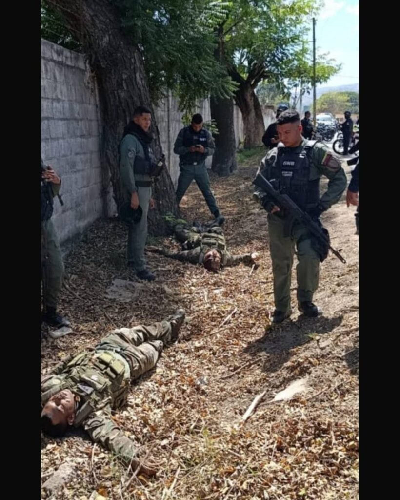 Potro Loco Potro Loco