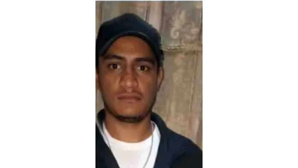 Tragedia mientras cortaban un árbol: un joven muere y otro resulta herido Tragedia en Monte Cristo