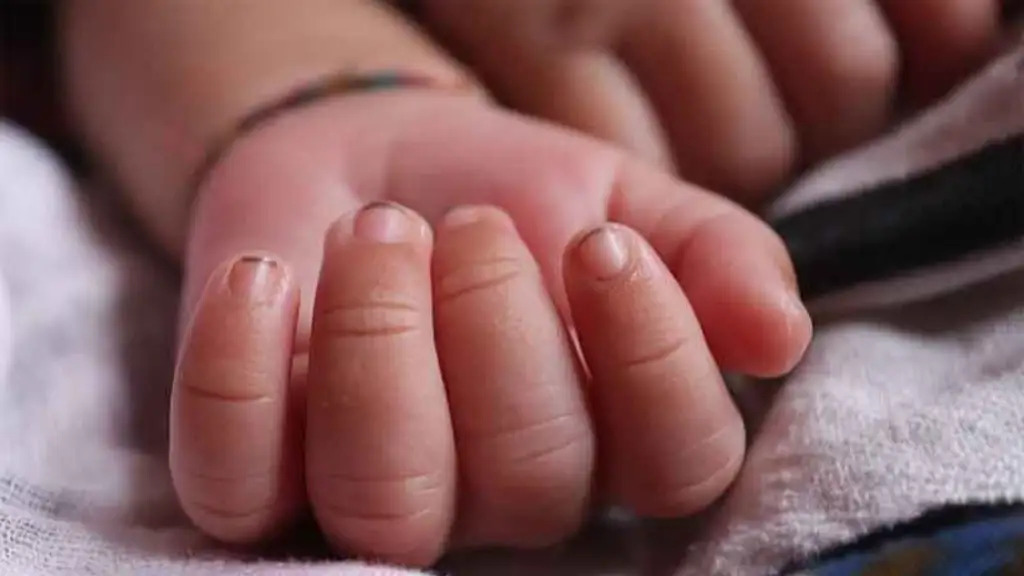 Tragedia en Falcón: niño de dos años muere al caer en un tanque de agua estado Falcón