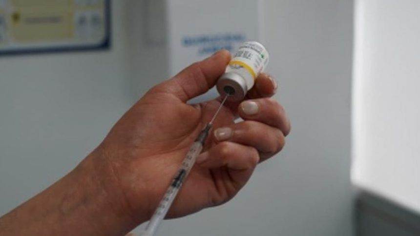 Vigilancia epidemiológica: Nuevos protocolos para viajeros en zonas de riesgo alerta por fiebre amarilla