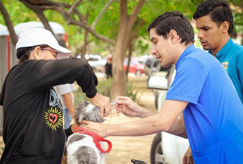 El IMPA atendió a más de 4.200 mascotas atendidas durante el primer trimestre bienestar animal en Maracaibo