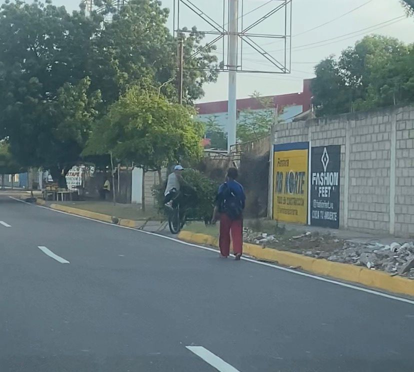 Alcaldía de Maracaibo sancionó a dos ciudadanos por cortar y arrojar árboles en la vía pública Alcaldía de Maracaibo