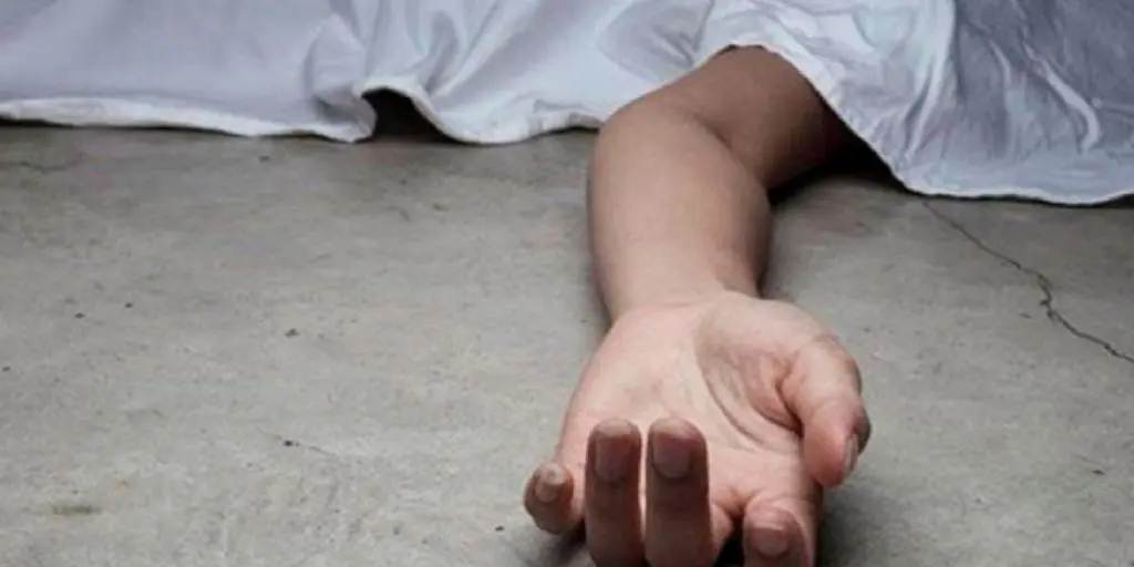 Femicidio en Caucagüita: Capturan a sujeto que asesinó a su expareja tras regresar a Venezuela femicidio en Caucagüita