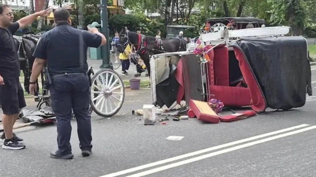 Tragedia en Nueva York: fallece turista en accidente durante paseo en carruaje fallece turista en NY