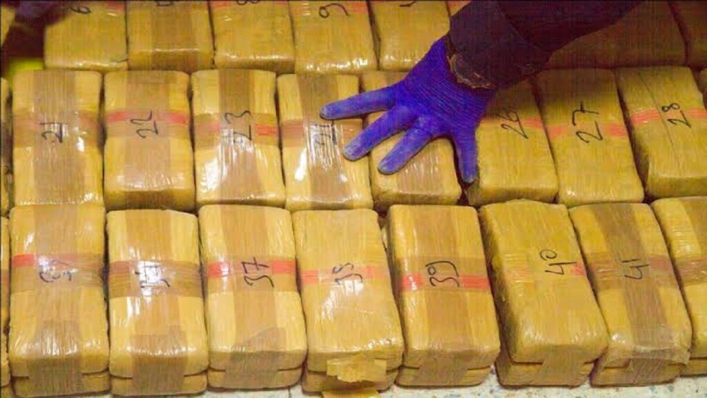 Incautan tres toneladas de cocaína en operativo militar en Monagas operativo antidrogas en Monagas