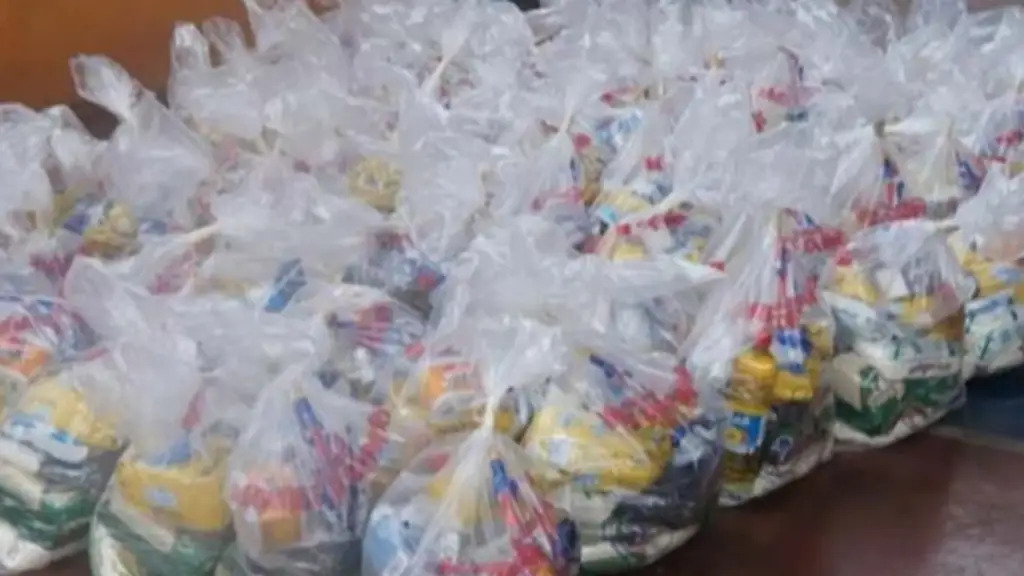 Bolsa CLAP especial incluye alimentos y productos de aseo para trabajadores públicos bolsas clap
