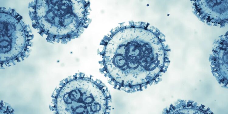 Venezuela confirma tres muertes por hantavirus en Anzoátegui hantavirus en venezuela