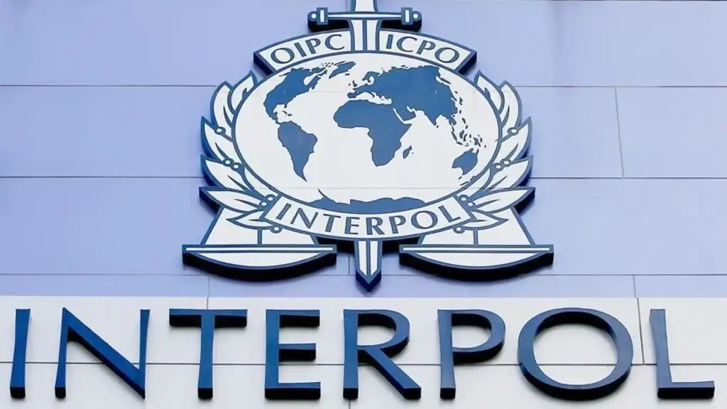 Detienen en Italia a venezolana buscada por presunta estafa de 200 mil dólares venezolana interpol
