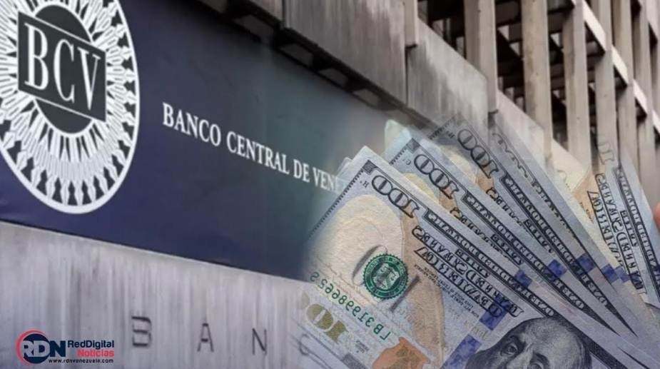 Así quedó la cotización del dólar y euro BCV para este 9 de septiembre tasa oficial del 9 de septiembre
