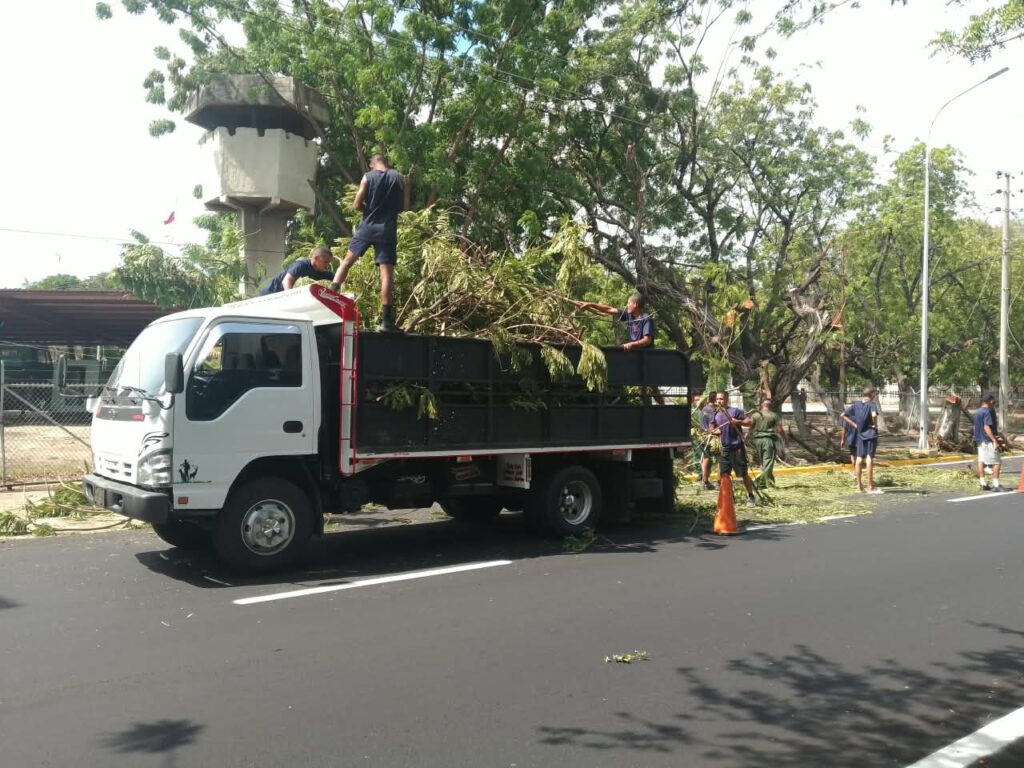 El IMA exhorta a Corpoelec a coordinar un protocolo conjunto de poda urbana en Maracaibo