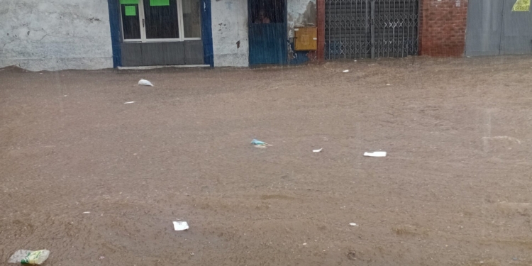 Inundaciones y caída de árboles en Caracas tras intensas precipitaciones
